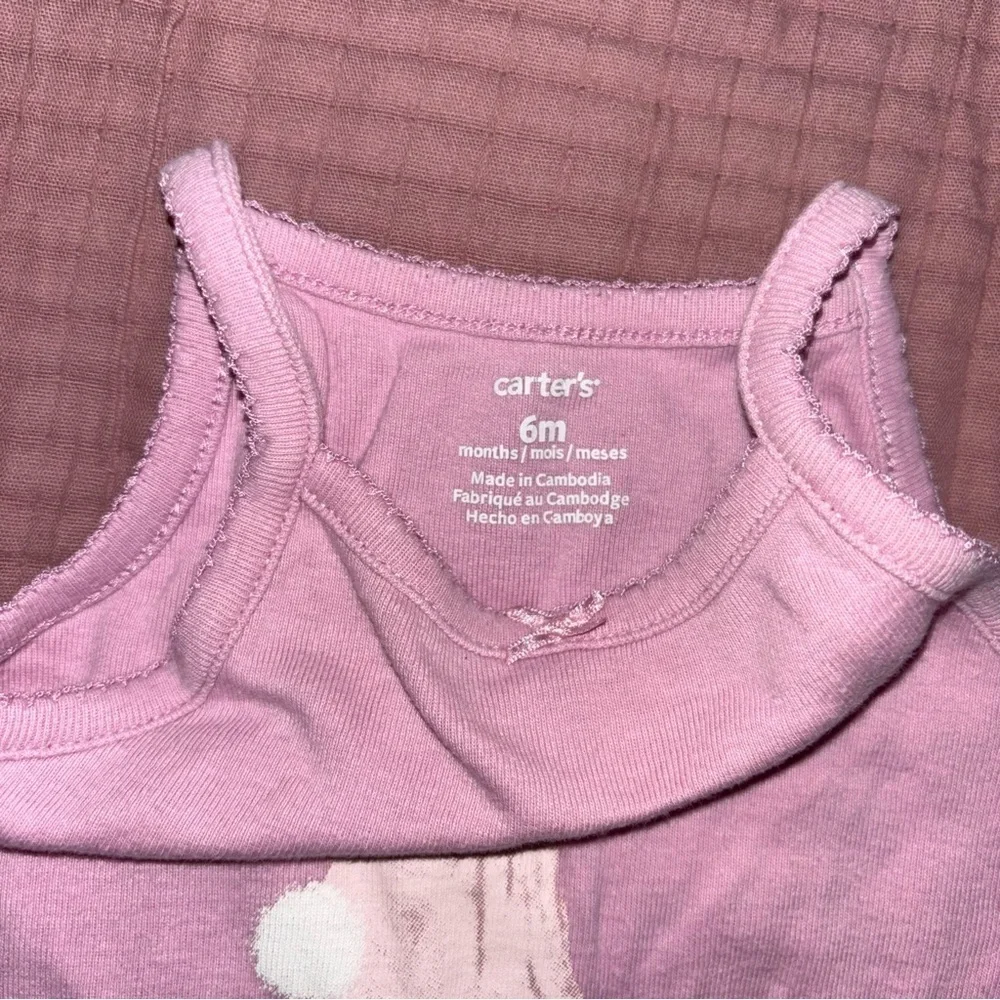 Carter’s Bodysuits in Pink and Blue